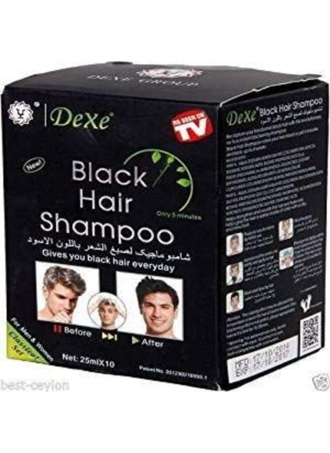 Dexe Dexe SALES NO.1 Instant Hair Color - 10 Travel Sachets | Ammonia-Free, Non-Toxic Black Dye Shampoo for Men/Women  - Image 1
