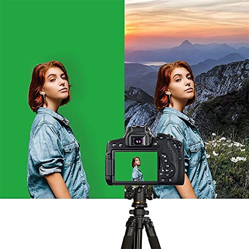 Boltove® 4FTx4FT Green Proffesional Backdrop Background Rod Pocket Exact Size Heavy Backdrop Non- Transparent for Photography, Video Streaming, Live Streaming,Product Shoot,Still Life Photography - Image 4