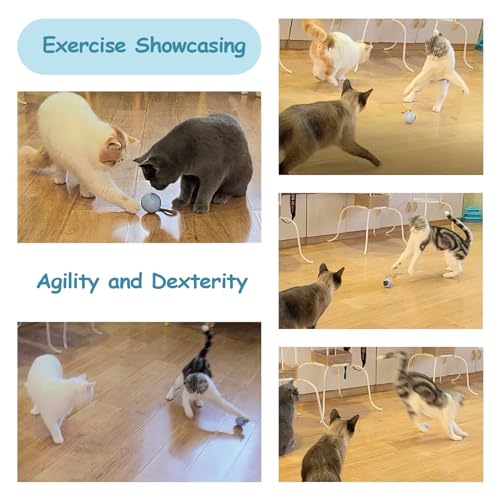 Migipaws Interactive Cat Ball Toy Set, Fun Tracker, Automatic Rolling Chase Ball with Fluffy Tail, A Small Mice, Rechargeable (White) - Image 5