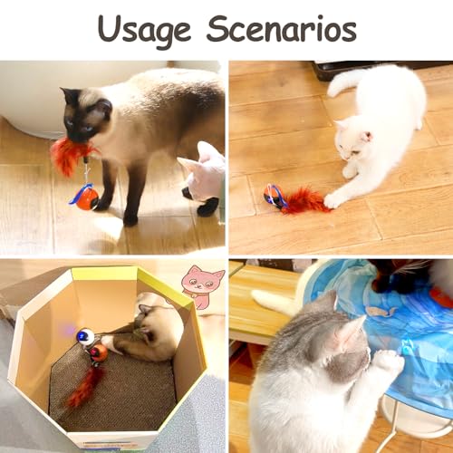 Migipaws Interactive Cat Ball Toy Set, Fun Tracker, Automatic Rolling Chase Ball with Fluffy Tail, A Small Mice, Rechargeable (White) - Image 4