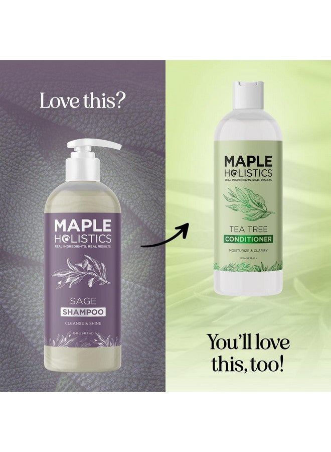 مايبل هوليستكس شامبو المريمية وإكليل الجبل، شامبو خالٍ من الكبريتات، شامبو منقي للغاية لبناء فروة الرأس الجافة وعلاجها مع تنظيف الزيوت العطرية للشعر، شامبو خالٍ من الكبريتات لجميع أنواع الشعر مع زيت المريمية. - Image 4