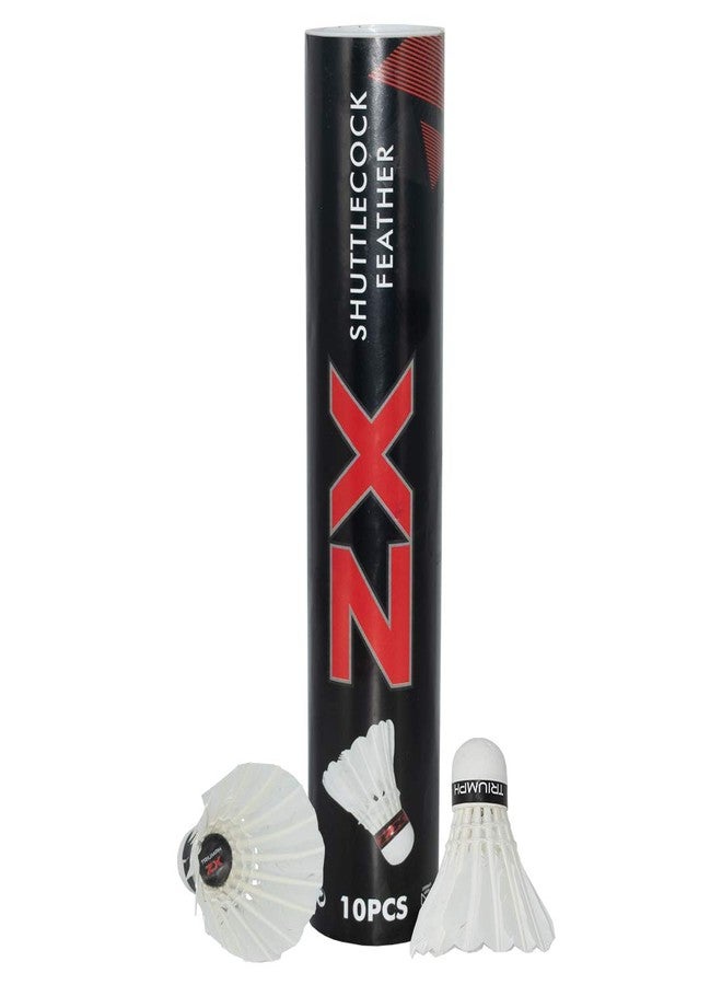 ترايامف مضرب تنس الريشة من تريومف، وكرة تنس الريشة، ومضرب تنس الريشة تريومف أسود اللون قطعة واحدة مع 10 قطع من كرات تنس الريشة تريومف ZX وغطاء كامل للمضرب - Image 4