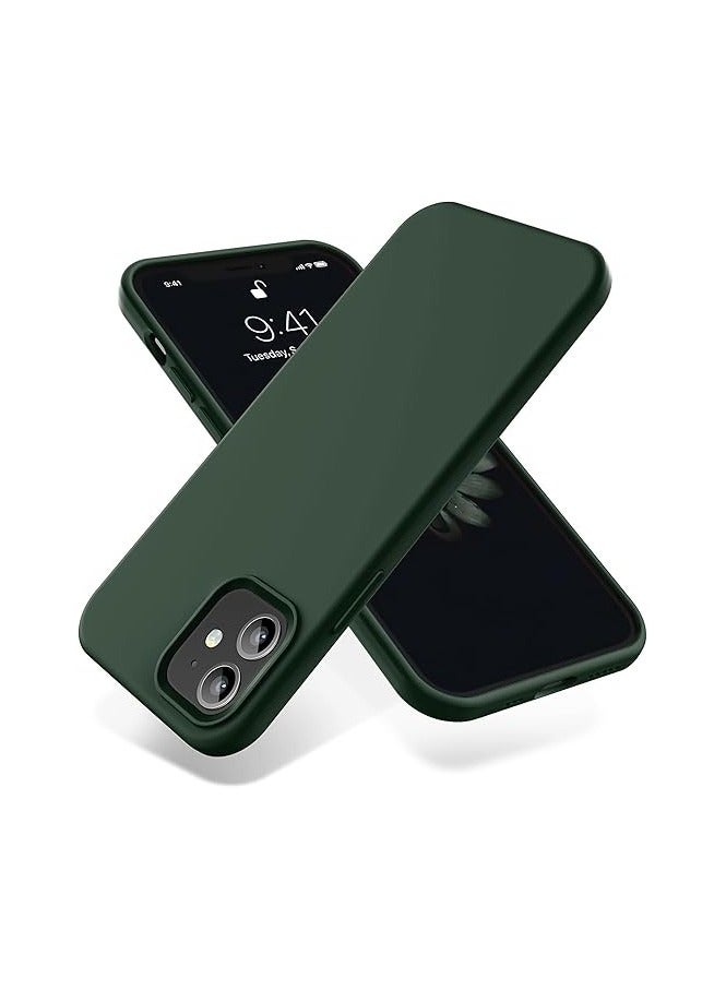 أكاليكس جراب سيليكون متوافق مع iPhone 11، طبقة سيليكون سائلة رفيعة من المطاط الناعم المقاوم للصدمات، غطاء حماية للهاتف مع بطانة من مادة TPU (أخضر) - Image 1