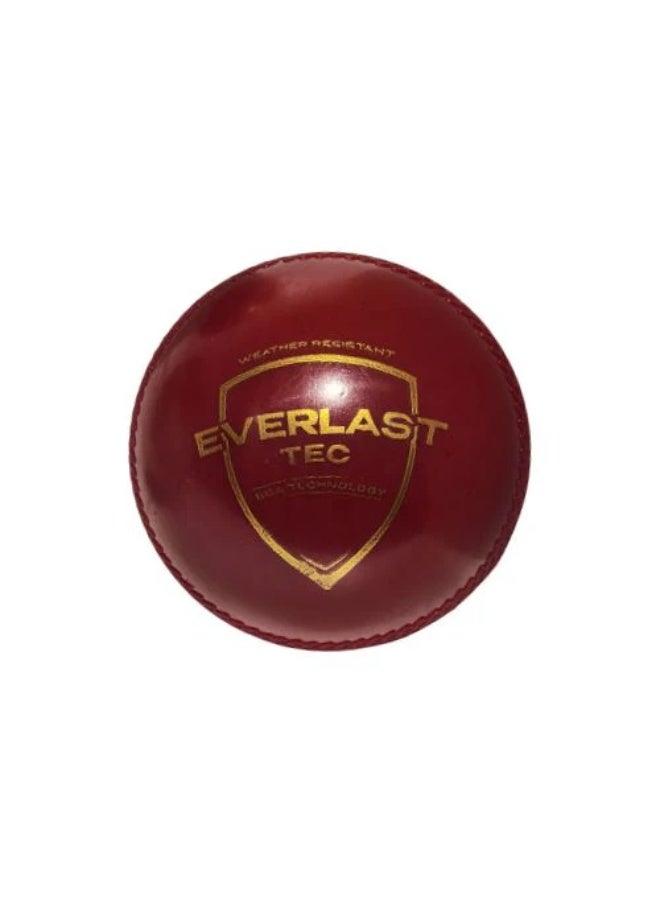 SG Everlast Tec Cricket Ball (Believe.Become) - Image 2