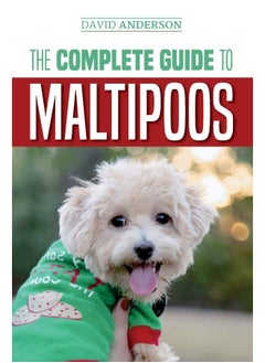 The Complete Guide to Maltipoos: Everything you need to know before getting your Maltipoo dog