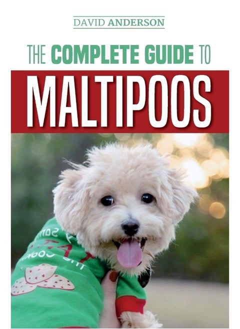 The Complete Guide to Maltipoos: Everything you need to know before getting your Maltipoo dog