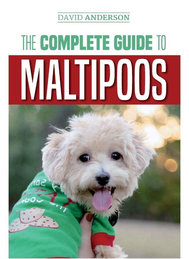 null - The Complete Guide to Maltipoos: Everything you need to know before getting your Maltipoo dog - Image 1