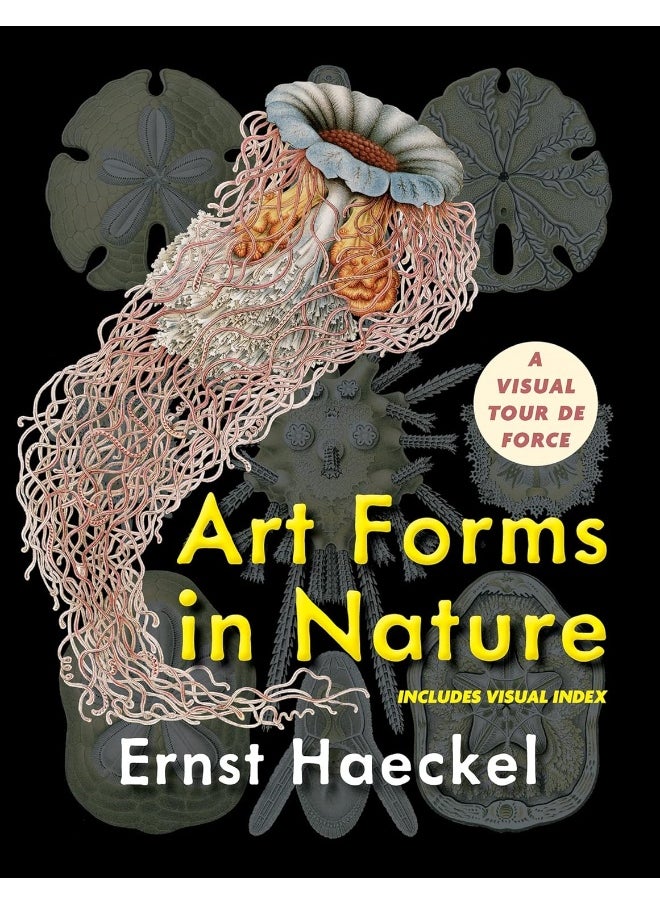 null - Art Forms in Nature (Dover Pictorial Archive) - Image 1