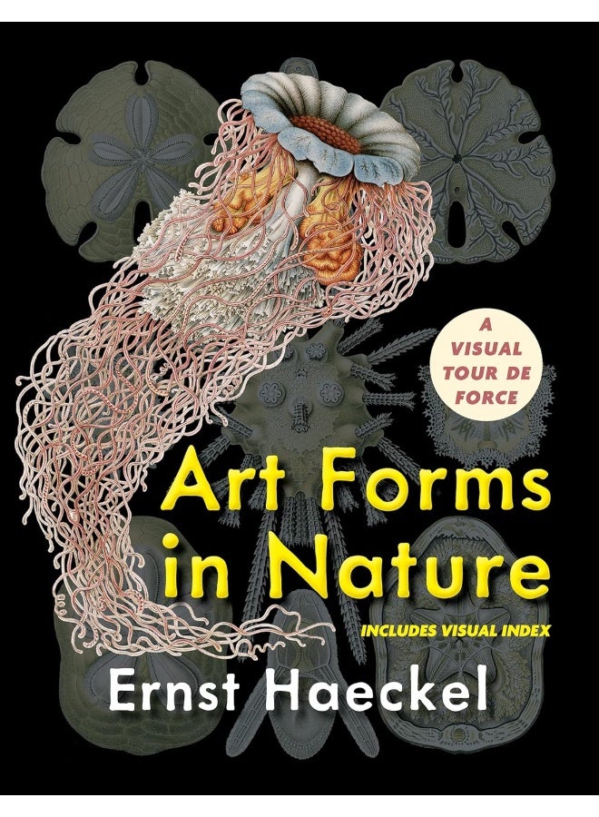 Art Forms in Nature (Dover Pictorial Archive)  - Image 1