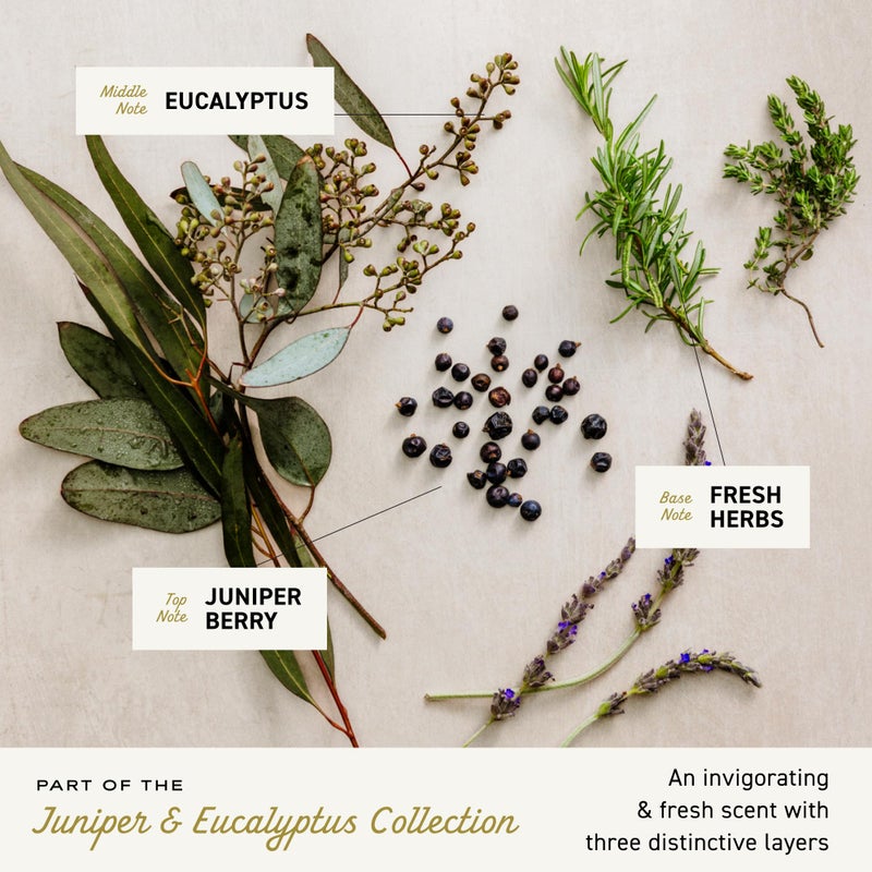 Cremo Juniper & Eucalyptus Barber Grade Thickening Shampoo, 16 Fl Oz - Image 3