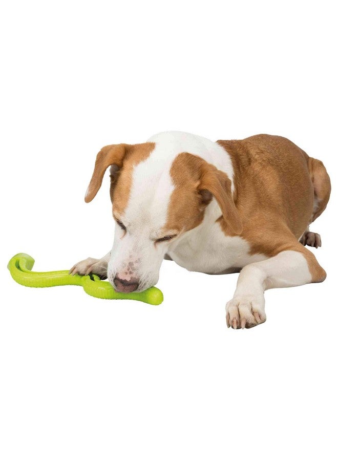 تريكسي لعبة الوجبات الخفيفة للحيوانات الأليفة، موزع مكافآت تفاعلي على شكل ثعبان للكلاب من جميع السلالات، متينة، متعددة الاستخدامات، ممتعة تصدر صوت صرير، تحتوي على الوجبات الخفيفة المفضلة، 42 سم