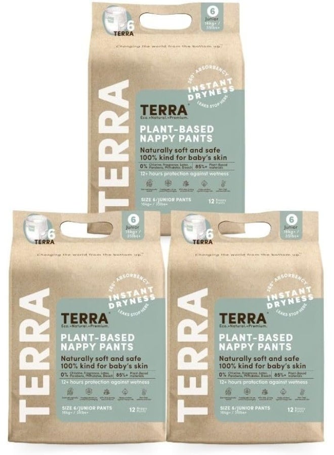 Terra سراويل تدريب تيرا القابلة للتحلل الحيوي الحجم 6