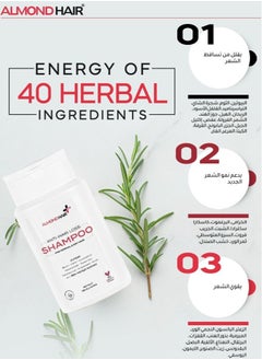 الموند هير شامبو مضاد تساقط الشعر للشعر العادي والجاف  - Image 3