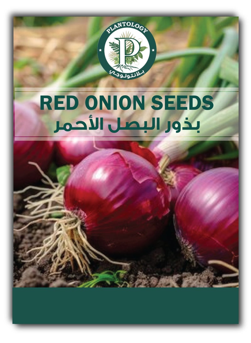 بذور البصل الأحمر للزراعة