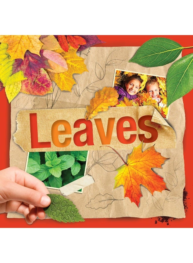 Leaves - Image 1