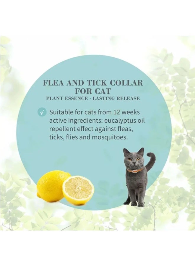 Bioline Eucalyptus & Lemon Scent Flea & Tick Collar For Cat - 35cm - Image 3