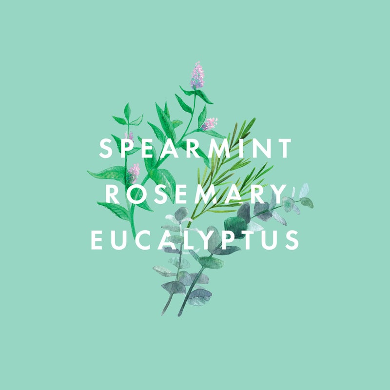 Neom â€“ Super Shower Power Body Cleanser Shower Gel, 500ml | Spearmint, Rosemary & Eucalyptus | Invigorating Fragrance, Hydrating & Nourishing | 100% Natural Fragrance - Image 5