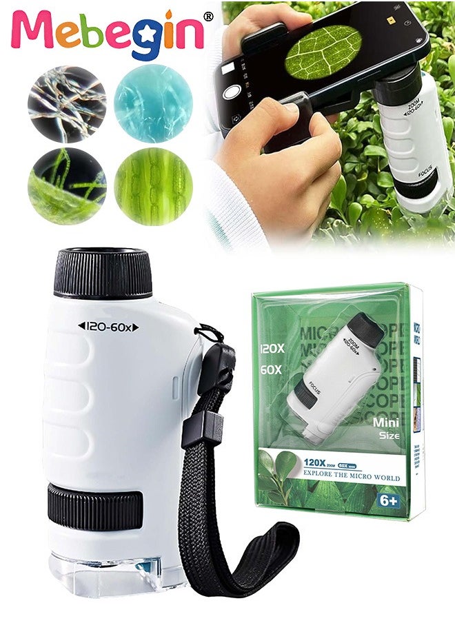 MEBEGIN Portable Microscope for Kids, Handheld Microscope, LED Lighted Pocket Microscopes, Science Toys, Fun Educational Toy, Suitable for Field, Classrom or Lab, Ideal Gift for Kids Aged 6+, 1 AAA Batteries Required(Not Included), 4.5*3*9.6cm  - Image 1