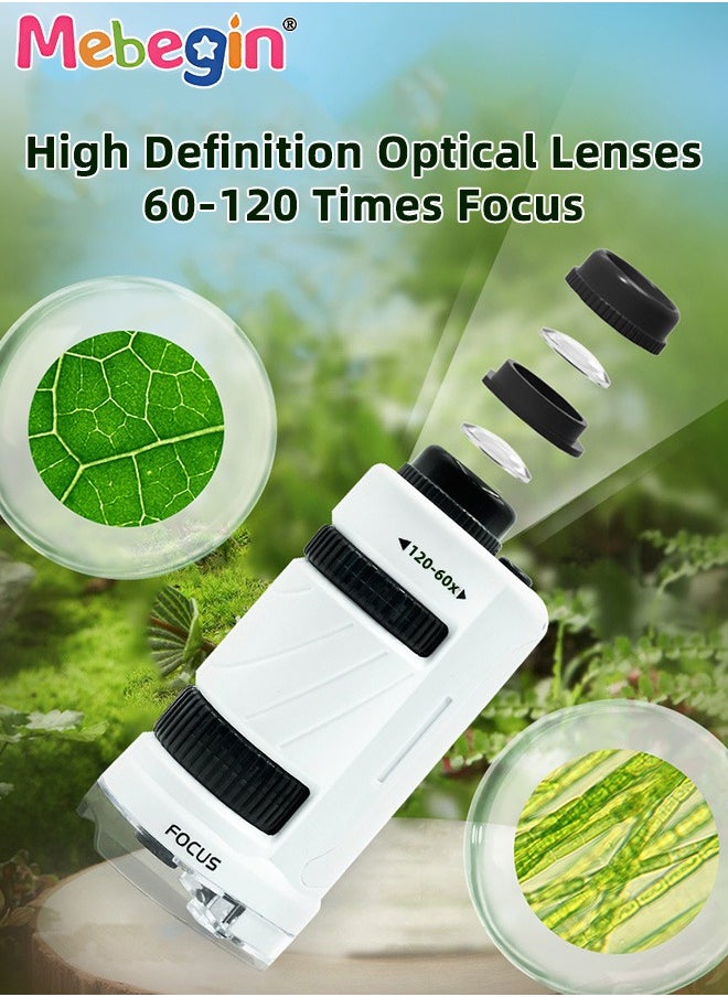 MEBEGIN Portable Microscope for Kids, Handheld Microscope, LED Lighted Pocket Microscopes, Science Toys, Fun Educational Toy, Suitable for Field, Classrom or Lab, Ideal Gift for Kids Aged 6+, 1 AAA Batteries Required(Not Included), 4.5*3*9.6cm  - Image 4