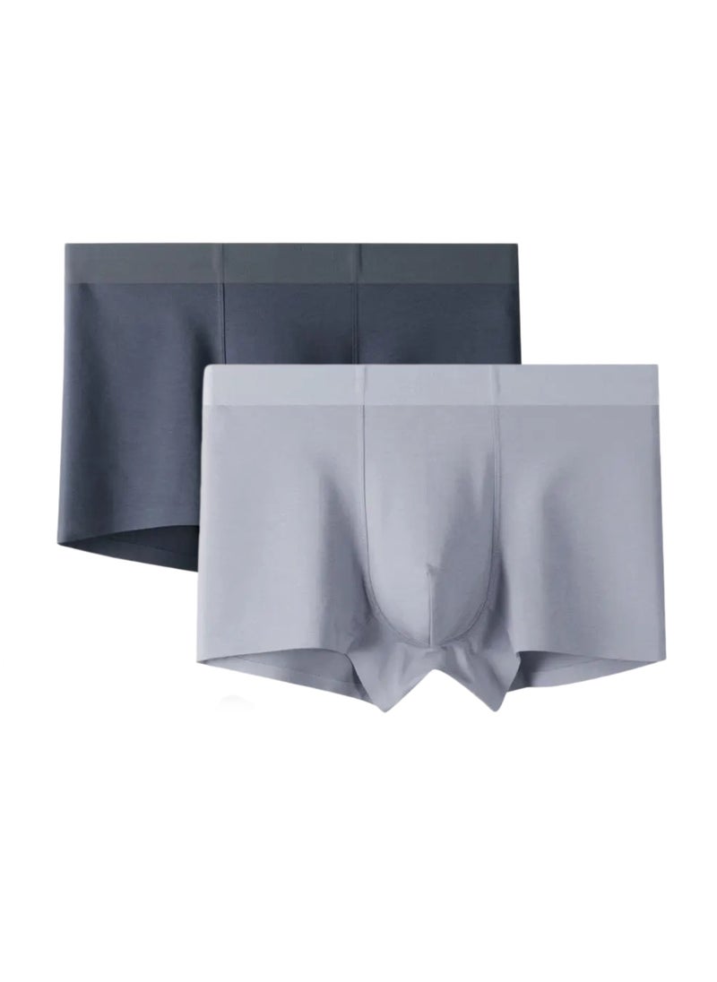 Generic 2 Pieces Mens Tagless Boxer Briefs  - Image 1