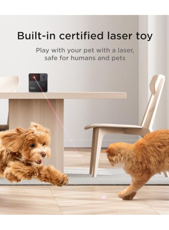 Petcube بلاي 2 | كاميرا ذكية عالية الدقة مدعومة بالذكاء الاصطناعي مع مؤشر ليزر، زاوية عرض عريضة 160°، صوت ثنائي الاتجاه مع 4 ميكروفونات - شاهد، تحدث، العب مع حيوانك الأليف من أي مكان، رؤية ليلية، متوافقة مع أليكسا، أندرويد و iOS - رمادي - Image 2