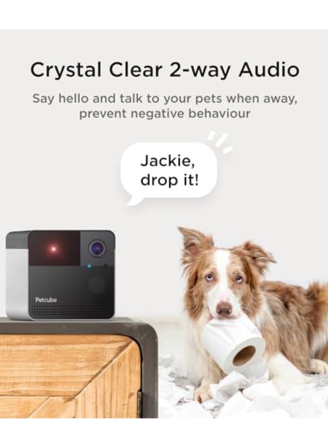 Petcube بلاي 2 | كاميرا ذكية عالية الدقة مدعومة بالذكاء الاصطناعي مع مؤشر ليزر، زاوية عرض عريضة 160°، صوت ثنائي الاتجاه مع 4 ميكروفونات - شاهد، تحدث، العب مع حيوانك الأليف من أي مكان، رؤية ليلية، متوافقة مع أليكسا، أندرويد و iOS - رمادي - Image 5