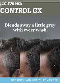 Just For Men Control GX Grey Reducing Anti-Dandruff Shampoo  - Image 3