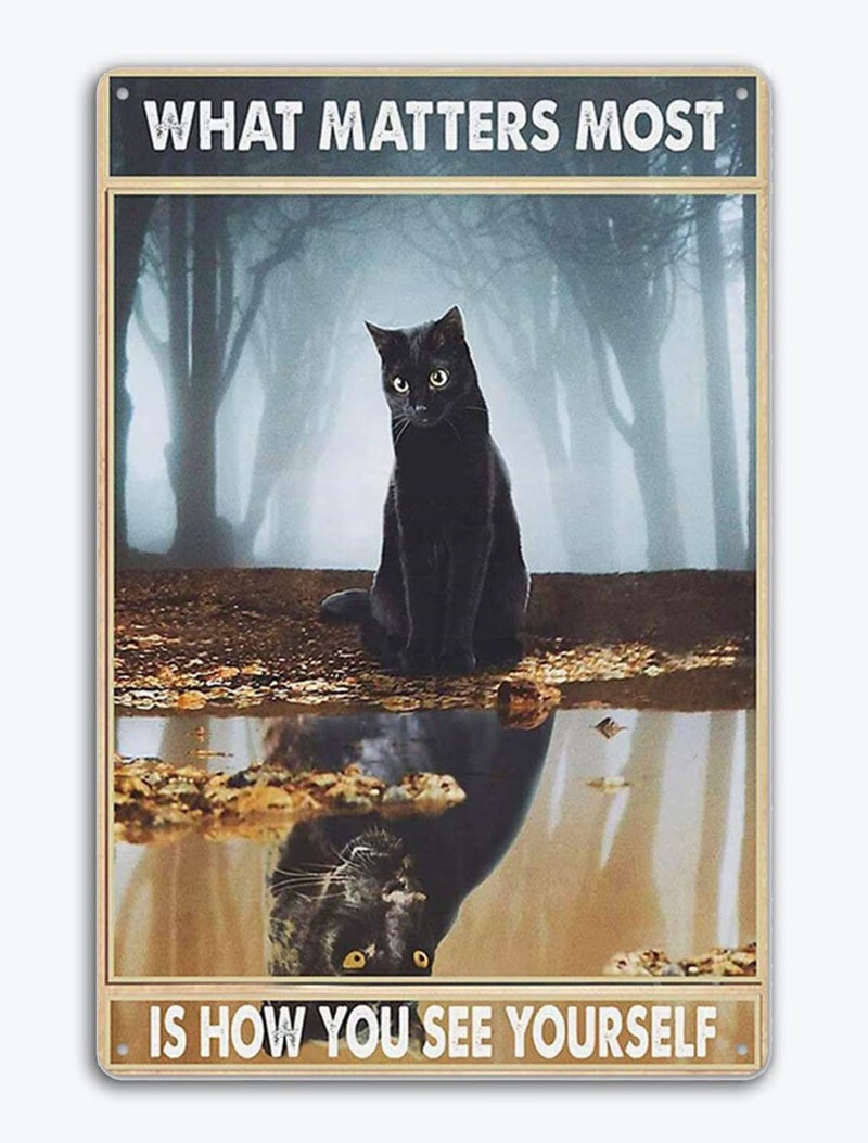Fmcmly Black Cat Retro Metal Tin Sign Vintage Style Wall Decoration Home Bar Kitchen Hotel Dining Room Coffee Metal Poster 8x12 Inch,What Matters Most is How You See Yourself Sign - Image 1