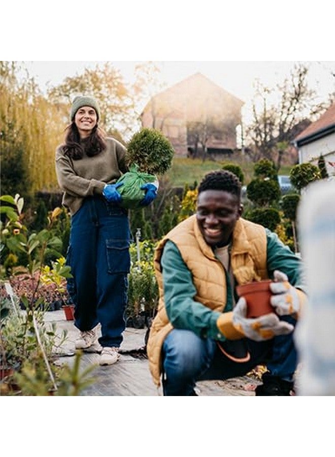 Futurebiotics فيتشر بيوتكس فيتامين K2 مع D3، دعم 2 في 1، 5000 وحدة دولية فيتامين D3 و 90 ميكروغرام فيتامين K2 MK-7 غير معدّل وراثيًا، 120 قرص - Image 4