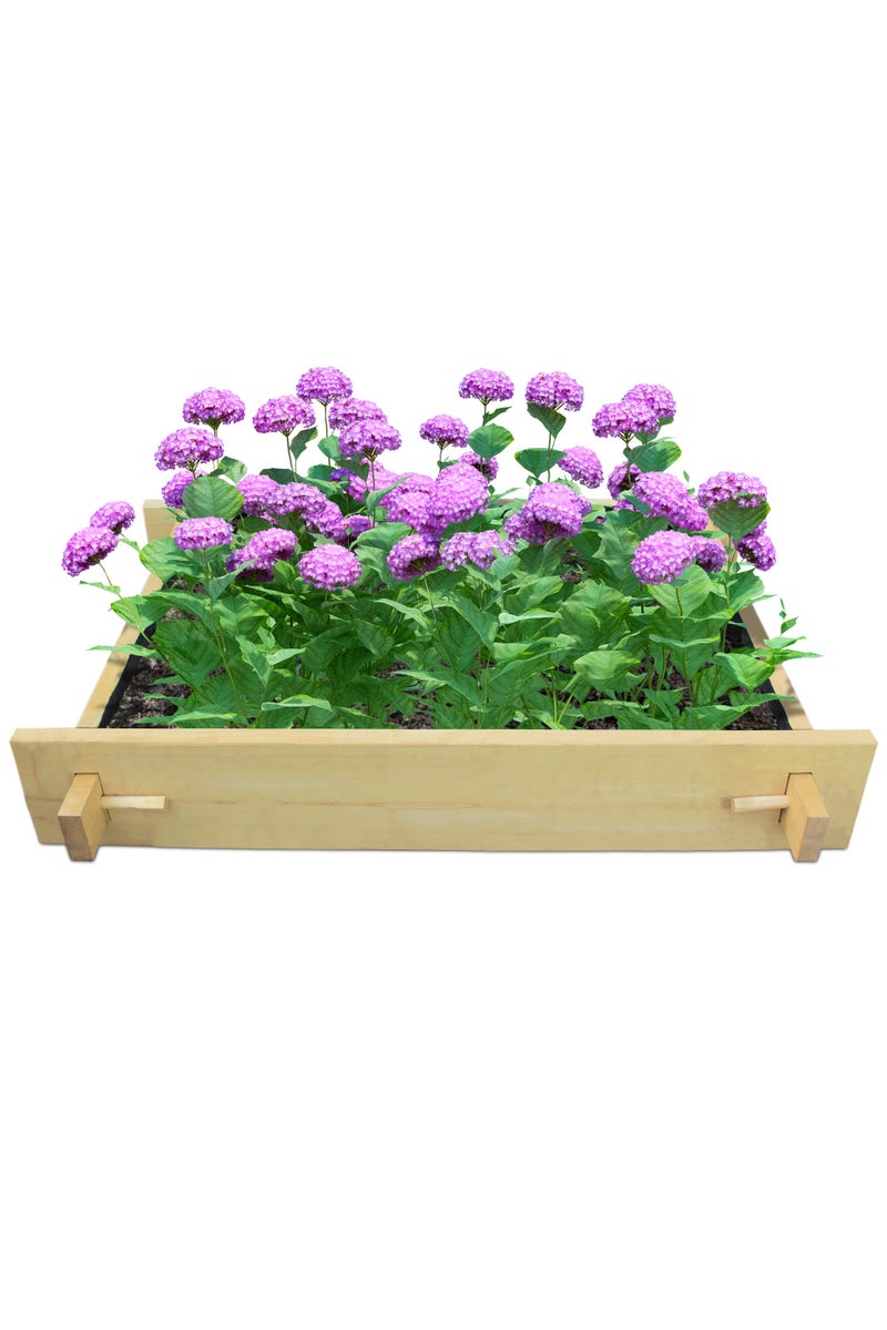 Rancher explorer raised gardenbed 4 feet x 3 feet x 23 Cm. Ecofriendly wooden bed for growing vegetables, flowers, herbs, and root vegetables. - Image 1