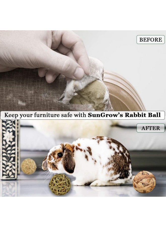 SunGrow 3 Pack Assorted Rabbit & Cat Chew Balls, Made From Seagrass, Chewable Teething Activity Toy For Pocket Pets, Healthy For Your Pet’S Gums & Teeth - Image 4