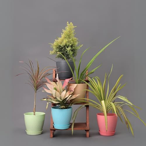 KWER Plastic Round Flower Pots – Durable Multicolor Planting Pots for Home, Balcony & Terrace, Indoor & Outdoor Gardening, Pack of 5 - Image 2
