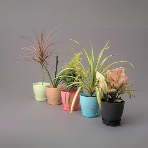 KWER Plastic Round Flower Pots – Durable Multicolor Planting Pots for Home, Balcony & Terrace, Indoor & Outdoor Gardening, Pack of 5 - Image 4
