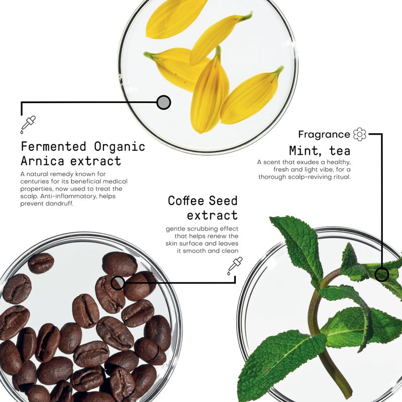 FRAMESI Morphosis Scalp Destress Serum, 3.4 fl oz, Soothing Leave In Scalp Treatment for Sensitive Scalps - Image 3