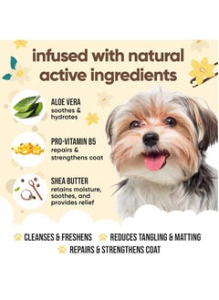 Buddy Vanilla and Shea Butter Dog Shampoo Moisturising Shampoo for Dogs  Vanilla and Shea Butter Scented With Aloe Vera and Pro Vitamin B5 500ml  - Image 5