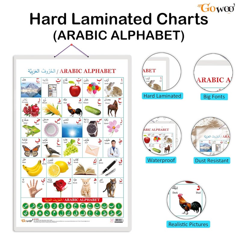 GoWoo Set of 2 Parts of the Body and Arabic Alphabet (Arabic) Early Learning Educational Charts for Kids | 20"X30" inch |Non-Tearable and Waterproof | Double Sided Laminated | Perfect for Homeschooling, Kindergarten and Nursery Students - Image 2