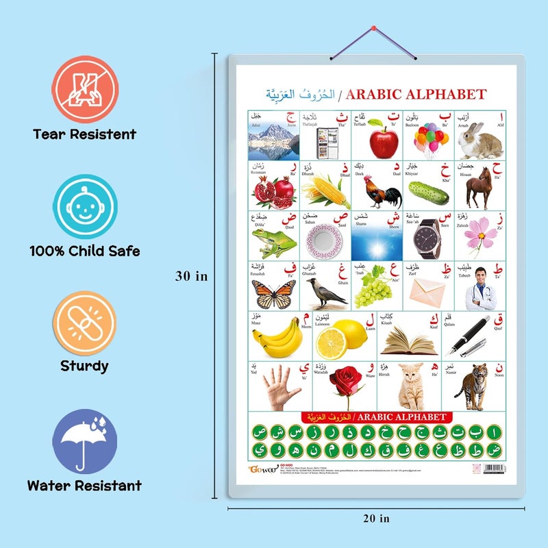 GoWoo Set of 2 Parts of the Body and Arabic Alphabet (Arabic) Early Learning Educational Charts for Kids | 20"X30" inch |Non-Tearable and Waterproof | Double Sided Laminated | Perfect for Homeschooling, Kindergarten and Nursery Students - Image 3