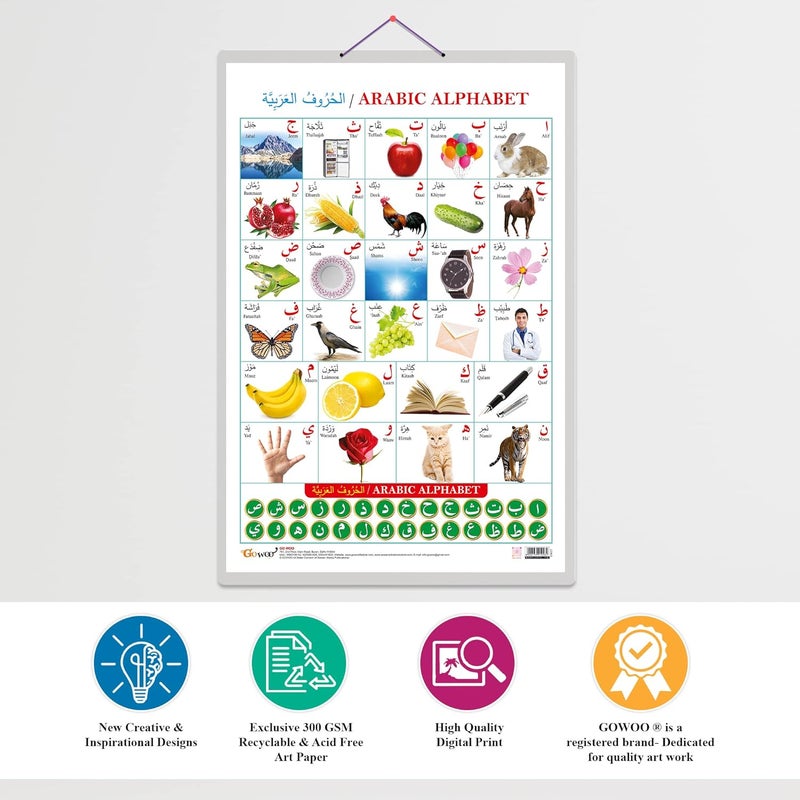 GoWoo Set of 2 Parts of the Body and Arabic Alphabet (Arabic) Early Learning Educational Charts for Kids | 20"X30" inch |Non-Tearable and Waterproof | Double Sided Laminated | Perfect for Homeschooling, Kindergarten and Nursery Students - Image 4
