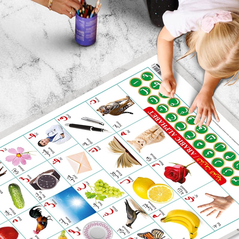 GoWoo Set of 2 Parts of the Body and Arabic Alphabet (Arabic) Early Learning Educational Charts for Kids | 20"X30" inch |Non-Tearable and Waterproof | Double Sided Laminated | Perfect for Homeschooling, Kindergarten and Nursery Students - Image 5