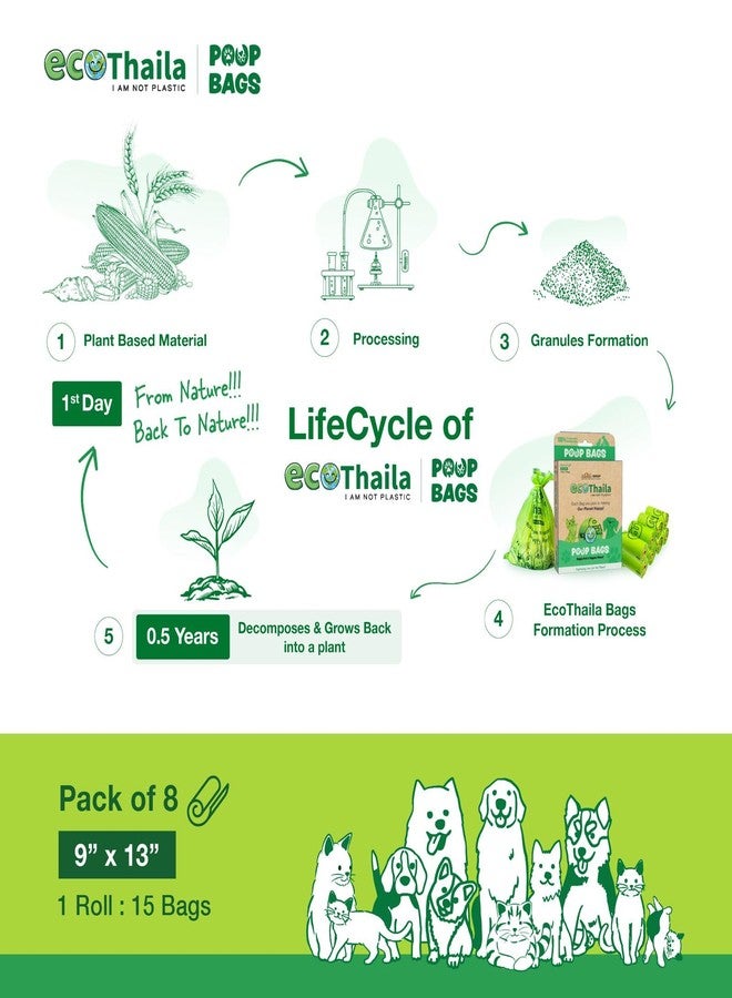 Eco Thaila أكياس فضلات قابلة للتحلل من إيكو ثايلا للكلاب والقطط | عبوة من 8 أكياس (120 كيسًا) | قابلة للتحلل الحيوي وصديقة للبيئة | أكياس فضلات | أداة قوية مانعة للتسرب لجمع فضلات الحيوانات الأليفة | لون أخضر - 9 × 13 بوصة - Image 4