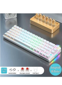 Generic Mechanical Gaming Keyboard, 68 Key, Red/Blue Switch, RGB Lights, Arabic, Wired USB Type C, waterproof, Anti-Dust, Ingrid White, Red Switch  - Image 2