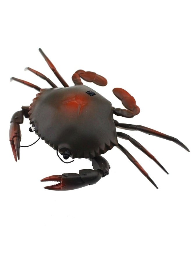 Tipmant Tipmant RC Crab Animal Toy Remote Control Car Vehicle Electronic Fake Insect for Kids Birthday Gift Christmas Halloween (Grey)  - Image 3