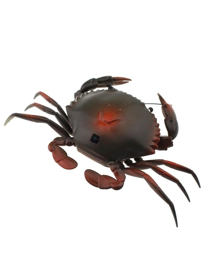 Tipmant Tipmant RC Crab Animal Toy Remote Control Car Vehicle Electronic Fake Insect for Kids Birthday Gift Christmas Halloween (Grey)  - Image 4