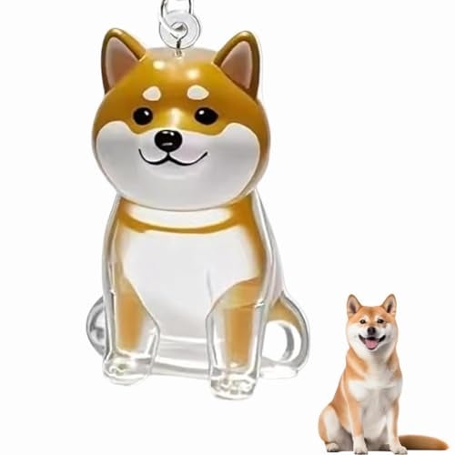 RupeeRise Dog Fur Capsule Key chain, Dog Keychain,Cute Keychain for Pet Hair Keepsake, Transparent Hair Collector for Bike and Car Key Holder, Durable and Stylish Accessory for Pet Lovers (Modern) - Image 1