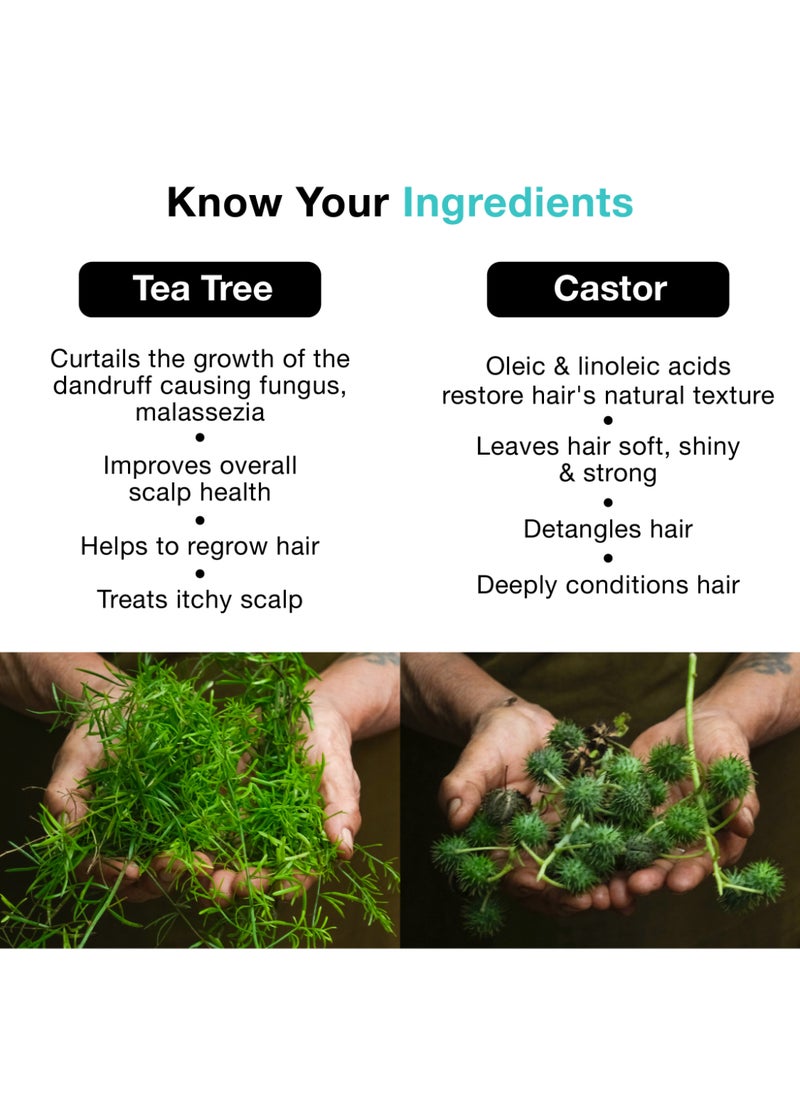 Soulflower Tea Tree Dandruff Treatment Oil For Hair And Scalp, Controls Hair Loss, 100% Pure, Natural, Coldpressed, Enriched With Tea Tree Essential Oil, Vegan  - Image 2