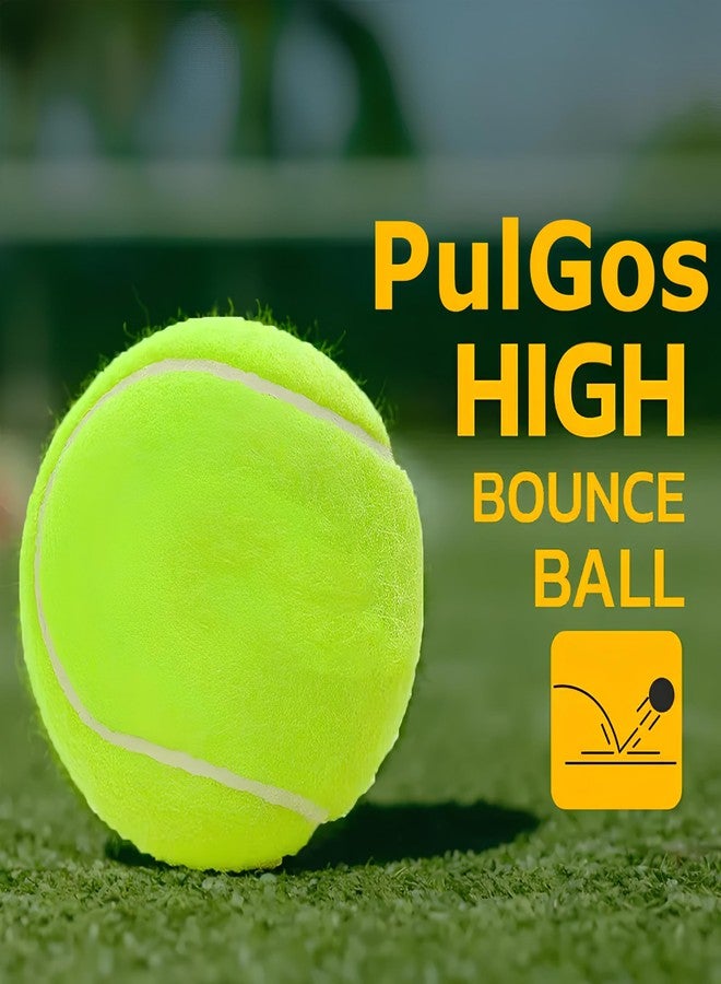 PulGos كرة بولغوس للكريكيت لمباريات الشوارع والتنس الناعم - كرة خفيفة الوزن ومتينة للبطولات، وكريكيت الشوارع، وتدريبات التنس والكريكيت، ولعب الشوارع (عبوة من 2) - Image 3