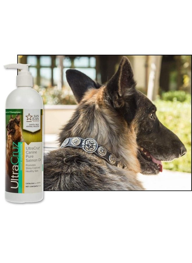 UltraCruz UltraCruz-sc-395197 Canine Pure Salmon Oil Supplement for Dogs, 16 oz  - Image 2