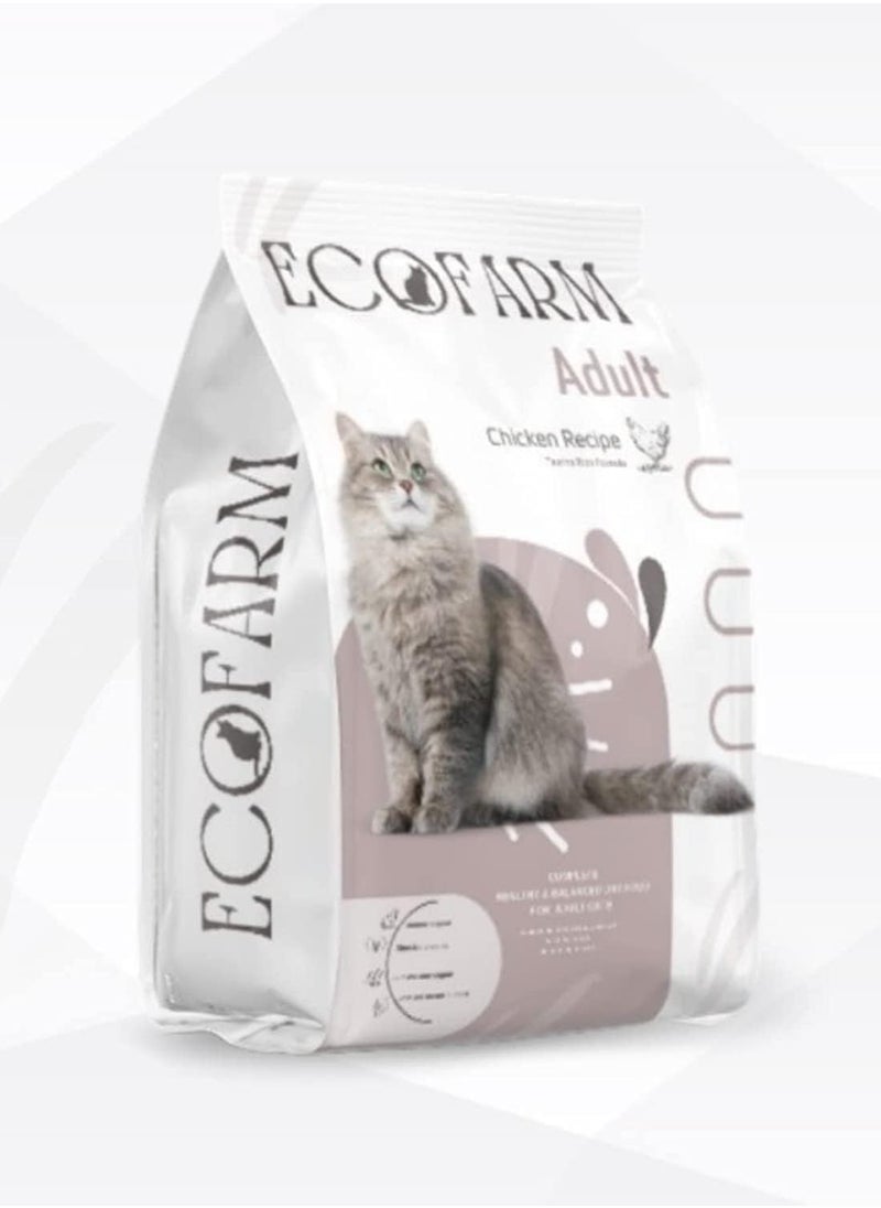 ECO FARM Dry Food For Adult Cat - 10 kg - pzsku/Z4B17964B0F0616C17661Z/45/_/1710376174/17ccb0e3-2ad3-460f-8c00-e8a50ec25ac4