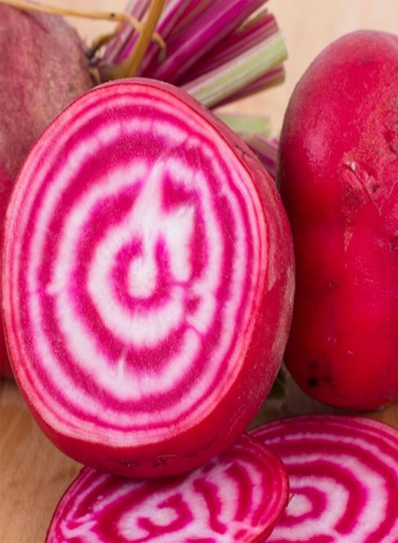 GGOOT Beetroot Chioggia Seeds – 20 Fresh Red and White Ringed Beetroot Seeds – Suitable Indoor and Outdoor Planting in Beds, Pots or Soil in Allotment, Balcony or Garden – Packed in UK b - Image 1