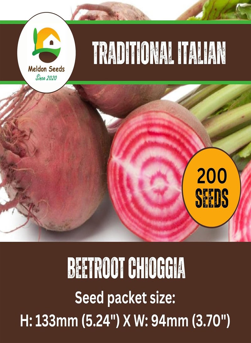 GGOOT Beetroot Chioggia Seeds – 20 Fresh Red and White Ringed Beetroot Seeds – Suitable Indoor and Outdoor Planting in Beds, Pots or Soil in Allotment, Balcony or Garden – Packed in UK b - Image 2
